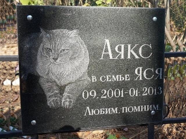 pamyatniki/tablichka-granit-coty-1_1667807663.jpg