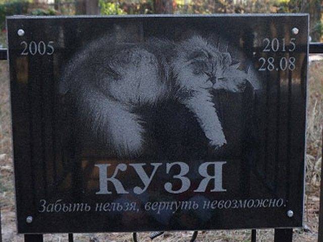 pamyatniki/tablichka-granit-coty-2_1667808560.jpg