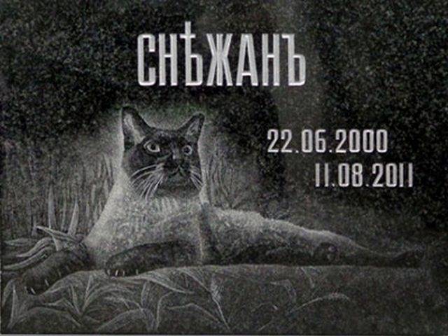 pamyatniki/tablichka-granit-coty_1667807663.jpg