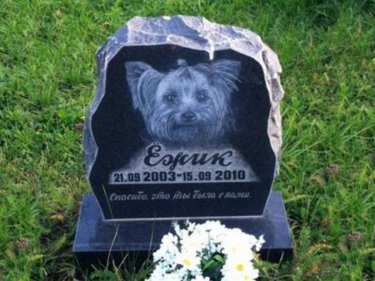 Пам'ятник гранітний для собаки з портретом