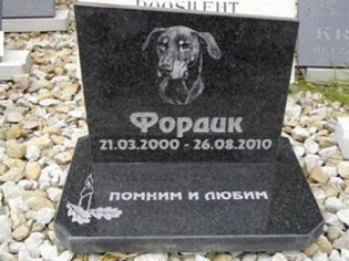 Памятник из гранита для собаки с портретом