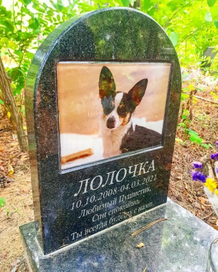 Памятник для кота с фото под стеклом