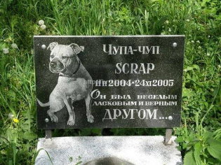 Табличка гранитная для собаки с портретом и надписью