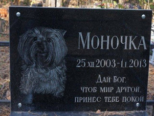 Табличка гранитная для собаки с портретом и надписью