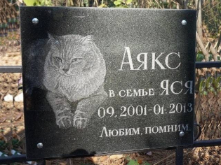 Табличка гранитная для котика с портретом и надписью