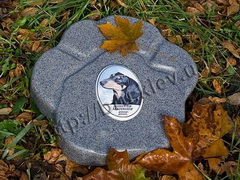 Памятник в виде лапы