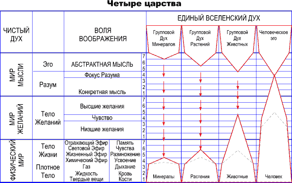 4 царства