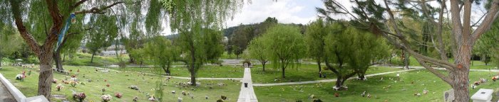 Кремация животных в Киеве