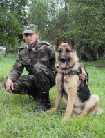 Собаки-пограничники