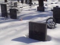 Кладбище домашних животных: лучше, чем ничего?