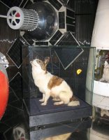 Похоронить по - человечески