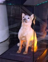 Похоронить по - человечески