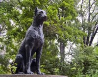 Памятники собакам, котам и другим животным Памятники собакам, котам и другим животным