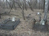 Похороны котов и собак