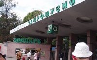 Смерть в Киевском зоопарке