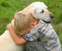 Потеря домашнего питомца