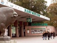 ГИБЕЛЬ ЖИВОТНЫХ