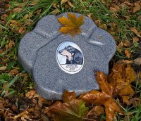 КЛАДБИЩЕ ДОМАШНИХ ЖИВОТНЫХ