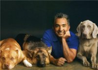 ЦЕЗАРЬ МИЛАН | ПЕРЕВОДЧИК С СОБАЧЬЕГО