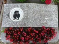 ИЗ МОГИЛЫ СОБАКИ УКРАЛИ ОШЕЙНИК