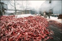 НАСТОЯЩАЯ ЦЕНА МЕХА