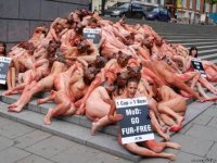 НАСТОЯЩАЯ ЦЕНА МЕХА