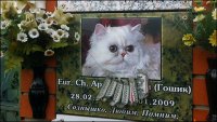 КЛАДБИЩЕ ДОМАШНИХ ЖИВОТНЫХ