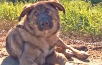 МИШКИН  ДОМ