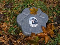 КАК  ПОХОРОНИТЬ  ДОМАШНЕЕ  ЖИВОТНОЕ В КИЕВЕ  |  КРЕМАЦИЯ  ДОМАШНИХ  ПИТОМЦЕВ